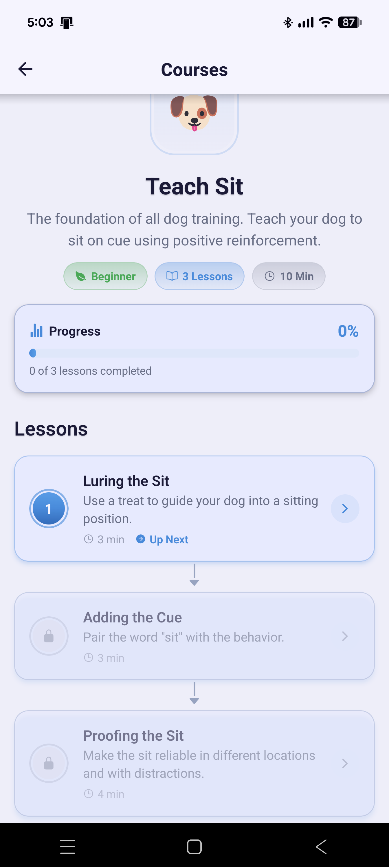 Course detail — Teach Sit