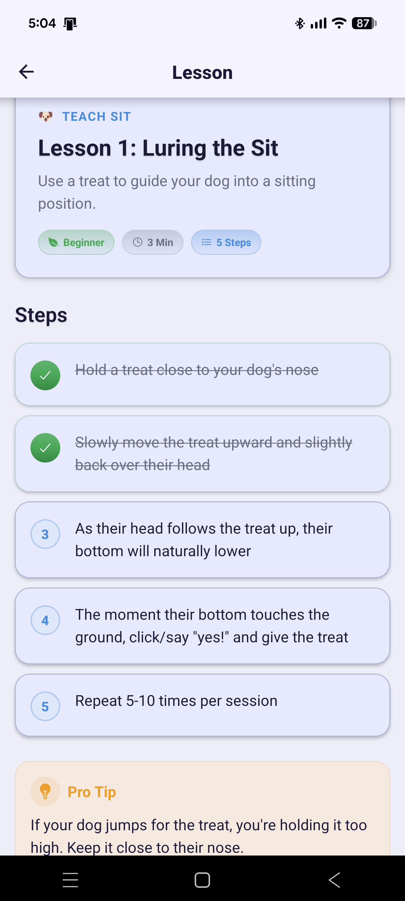 Interactive lesson steps