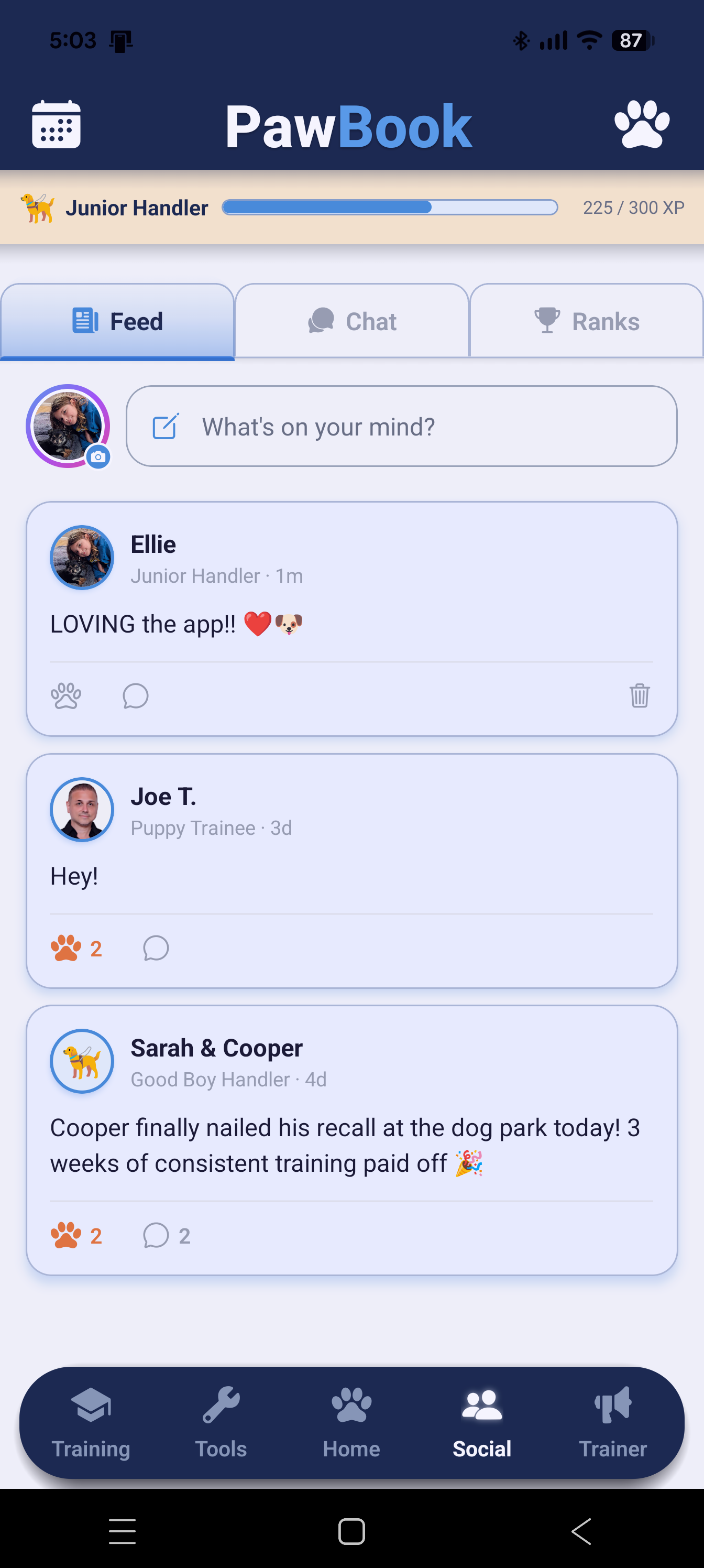PawBook social feed